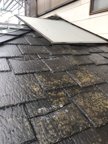 本日は雨ですので、自宅でできる雨漏り診断