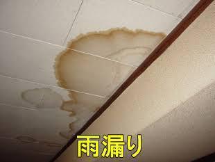 また雨...なので雨漏りがもたらす健康被害