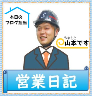 【営業日記】*山散歩*🗻